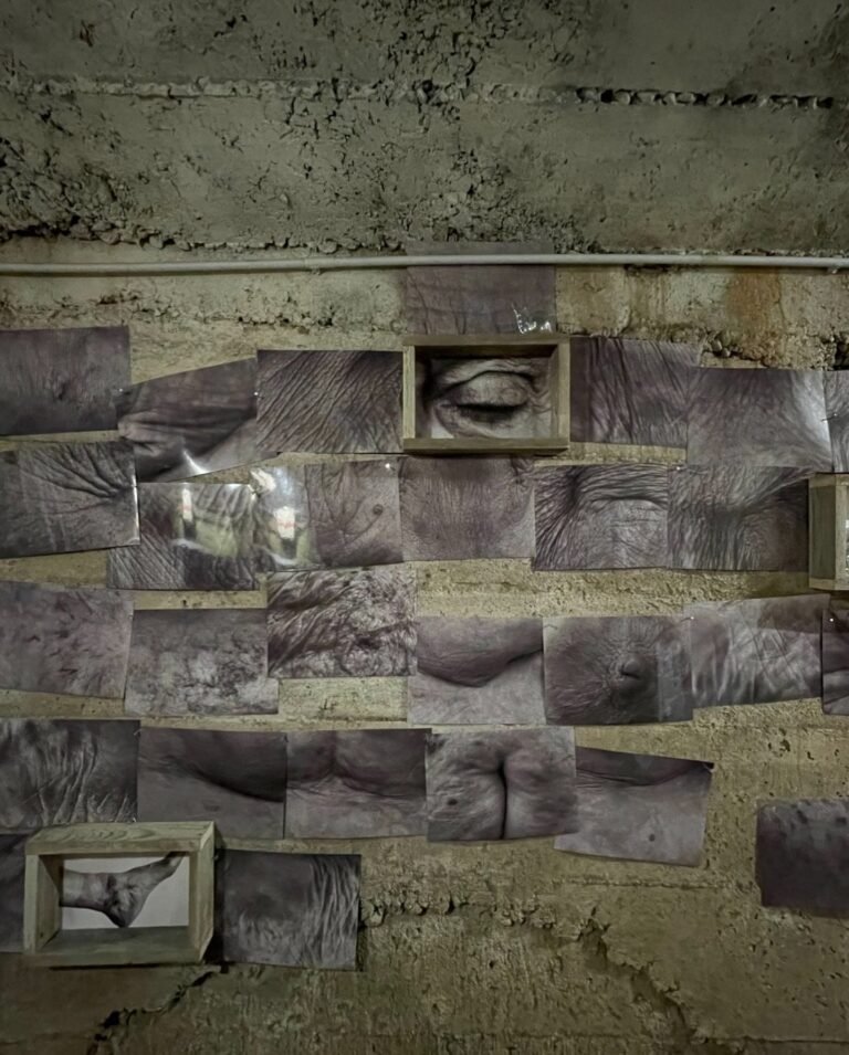 544947540_17868238899442226_5953764496936988259_n