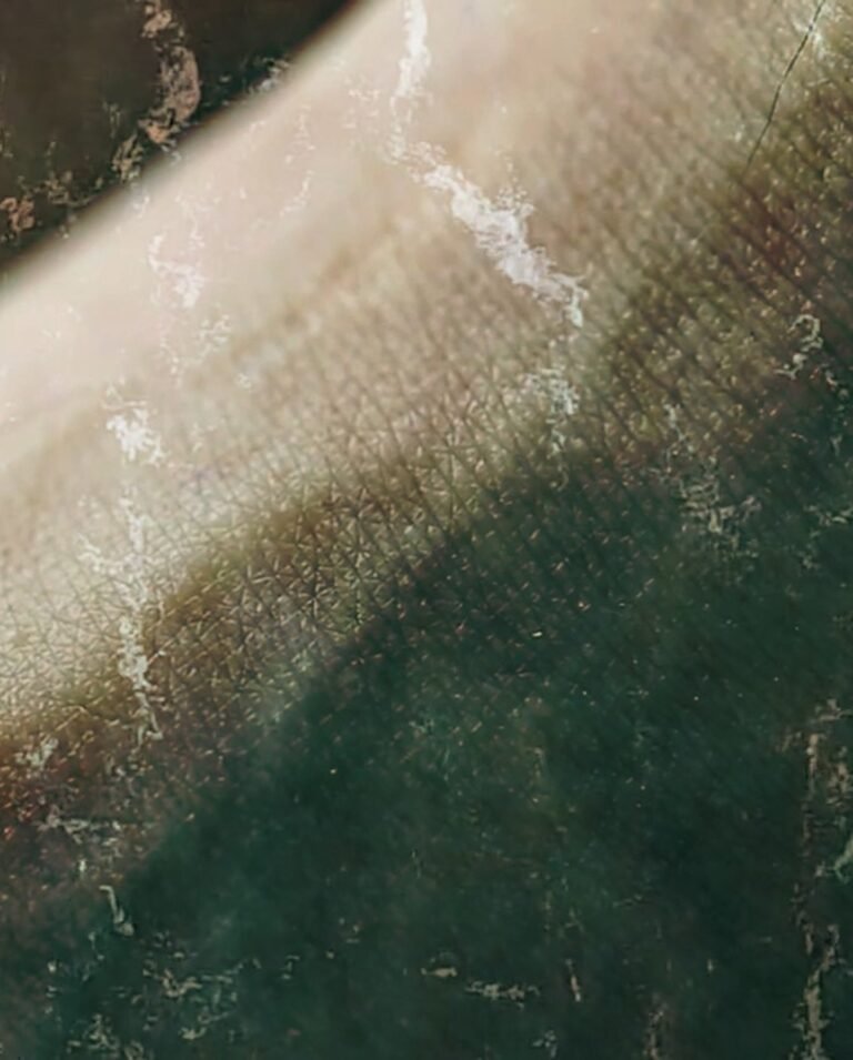 544954267_17868238947442226_8240622953036494252_n