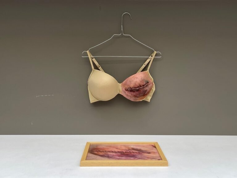 553364587_17869755225442226_8836923204366638407_n