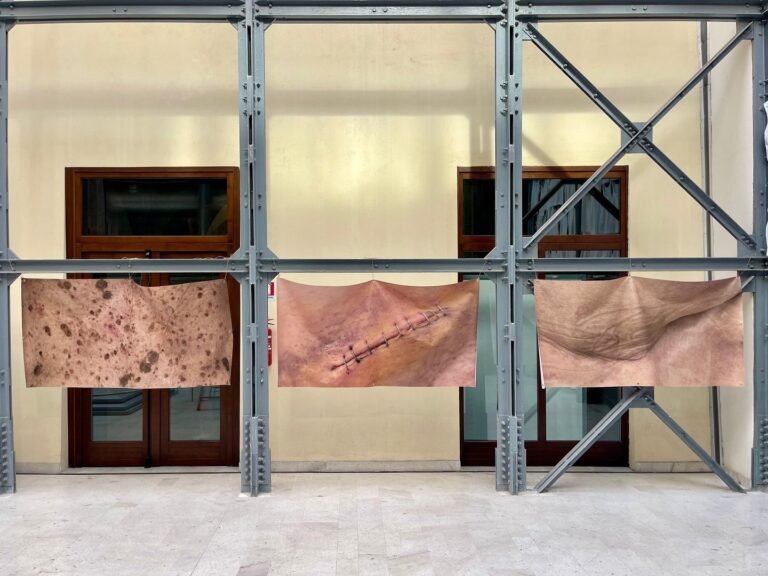 553527782_17869755204442226_7174360803952674263_n