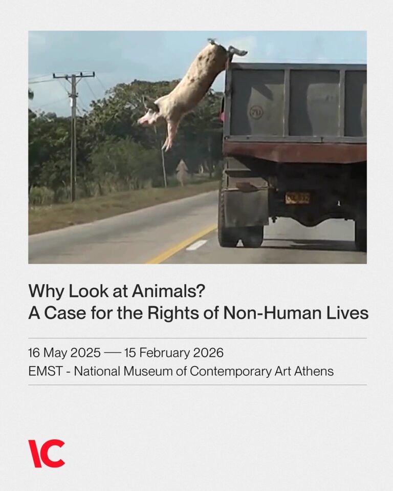 509729901_17858951157442226_5206930660365784295_n