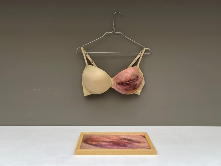 553364587_17869755225442226_8836923204366638407_n