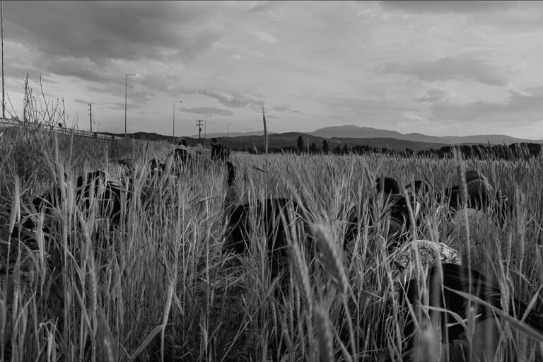 572553692_17874344937442226_1417053602632056419_n